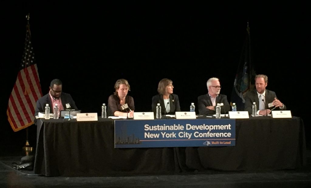 Sustainable Development and Collaborative Governance in NYC