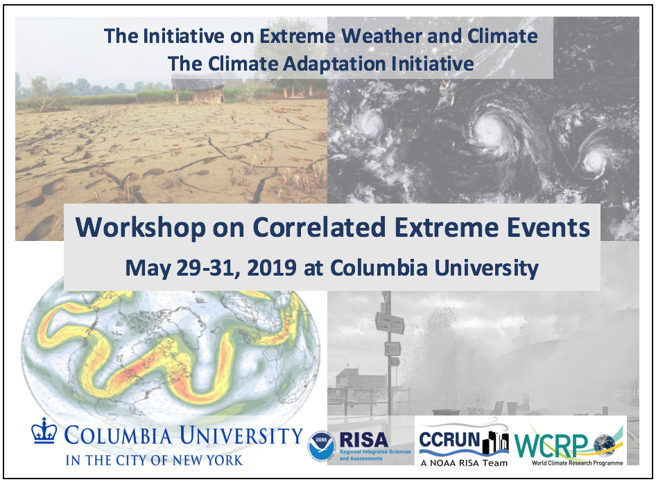 Extreme S Amp M Porn - Workshop on Correlated Extremes â€“ Initiative on Extreme ...